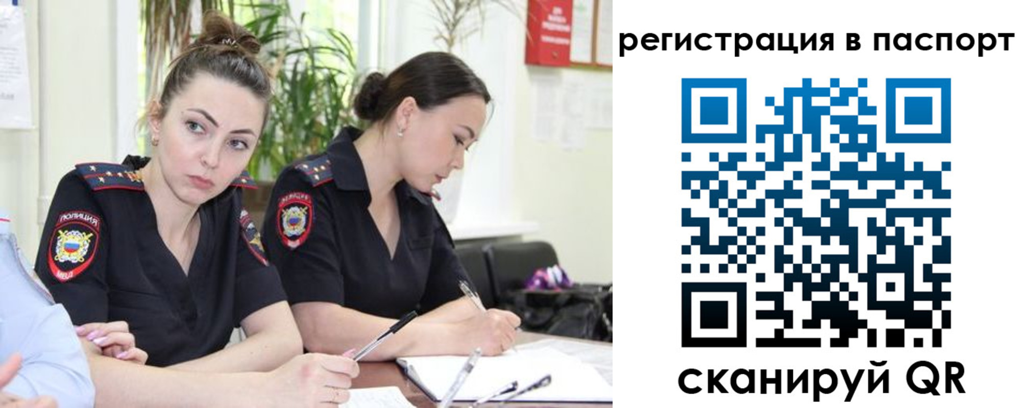 где прописаться в Дмитрове